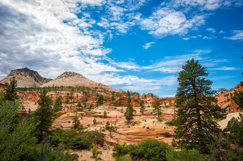 National Parks | Zion Mountain Ranch